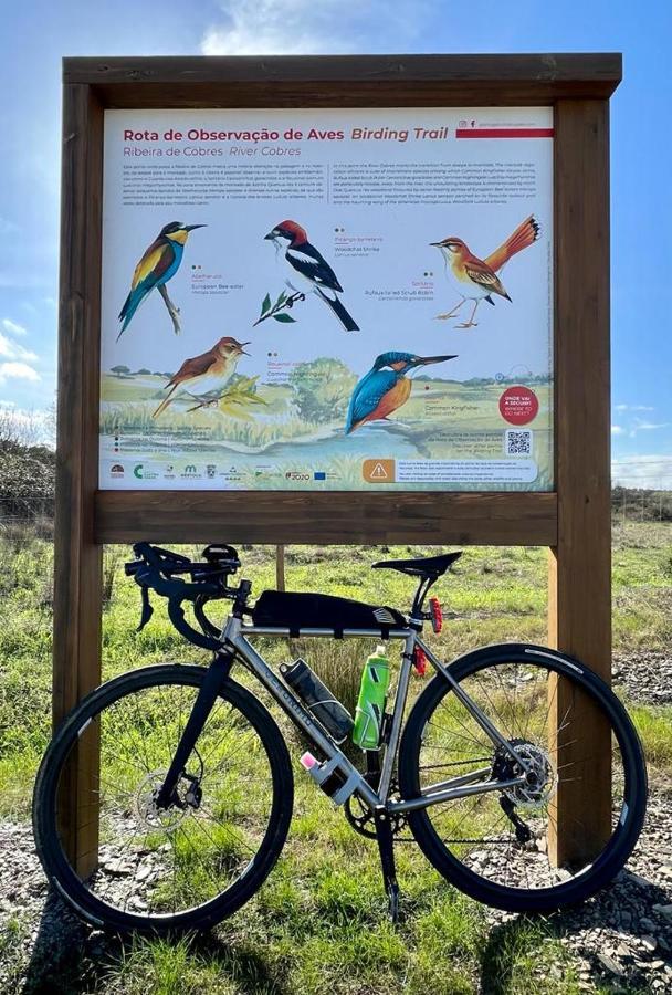 カシュトロ・ベルデ4Bs - Birds & Bicyclesアパートメント エクステリア 写真